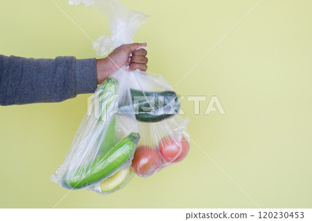 Hand Carrying Fresh Vegetables in Clear Plastic Bag, Healthy Eating and Zero Waste Concept Hand Carrying Fresh Vegetables in Clear Plastic Bag, Healthy Eating and Zero Waste Concept 120230453