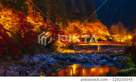 香蘭溪（秋季） 120230545