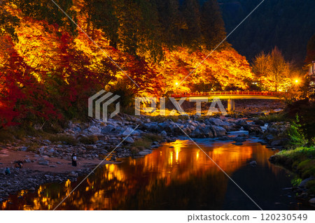 香蘭溪（秋季） 120230549