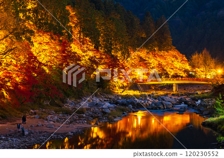 Korankei (Autumn) Korankei (Autumn) 120230552