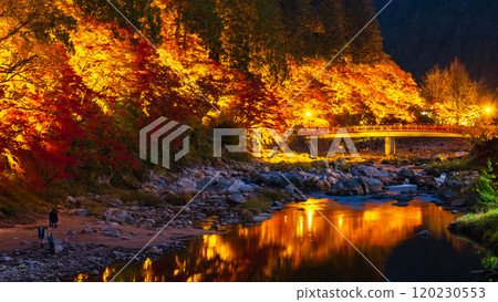 Korankei (Autumn) 120230553