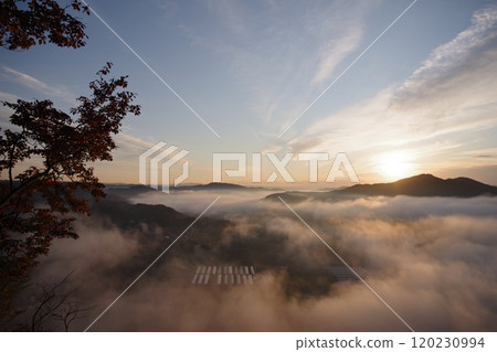 Sea of clouds and sunrise seen from the summit of Mt. Kamakura Sea of clouds and sunrise seen from the summit of Mt. Kamakura 120230994