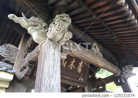 Painted lion heads at Honkakuji Temple Painted lion heads at Honkakuji Temple 120231074