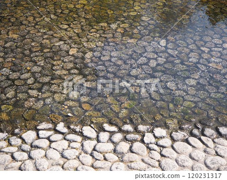 可見底部的河水流 120231317