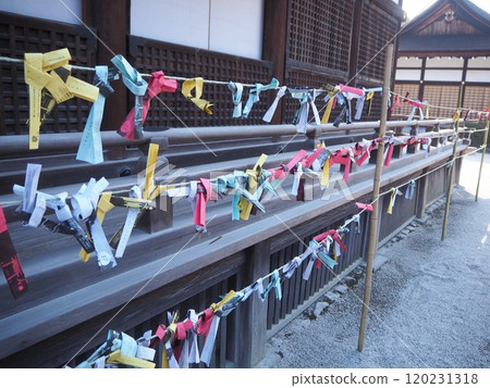 Omikuji 綁在神社的範圍內 120231318