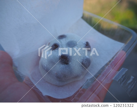 Bean Daifuku 120231322