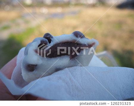 Half-eaten bean daifuku Half-eaten bean daifuku 120231323
