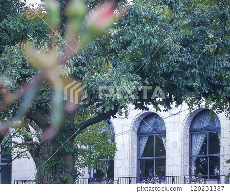 復古西式建築,拱形窗戶上掛著白色蕾絲窗簾 復古西式建築,拱形窗戶上掛著白色蕾絲窗簾 120231387