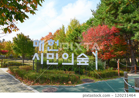 秋葉美麗的公園 - 白川市民森林 [韓國/首爾] 120231464