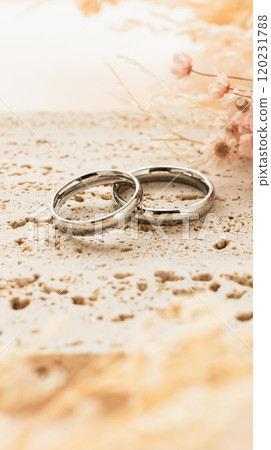 戒指 結婚戒指 結婚戒指 120231788