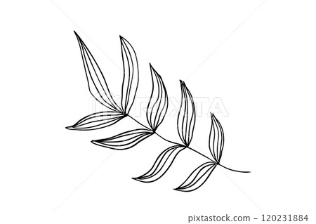 Simple floral line drawing illustration 120231884