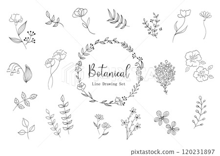 Simple plant line drawing illustration set 120231897