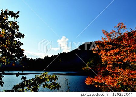 Lake Okutama Recreation Path: Autumn foliage Lake Okutama Recreation Path: Autumn foliage 120232044