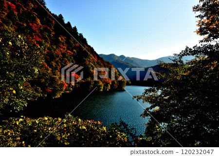 奧多摩湖生居之道 - 紅葉風景 奧多摩湖生居之道 - 紅葉風景 120232047