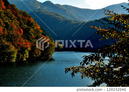 奧多摩湖生居之道 - 紅葉風景 奧多摩湖生居之道 - 紅葉風景 120232048