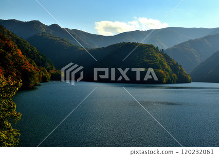 Lake Okutama Recreation Path: Autumn foliage Lake Okutama Recreation Path: Autumn foliage 120232061