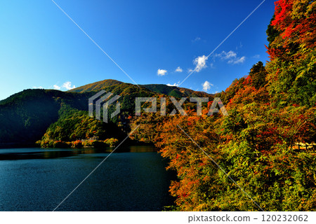 Lake Okutama Recreation Path: Autumn foliage Lake Okutama Recreation Path: Autumn foliage 120232062