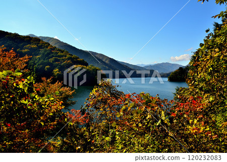 奧多摩湖生居之道 - 紅葉風景 奧多摩湖生居之道 - 紅葉風景 120232083