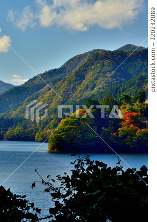 奧多摩湖生居之道 - 紅葉風景 奧多摩湖生居之道 - 紅葉風景 120232089