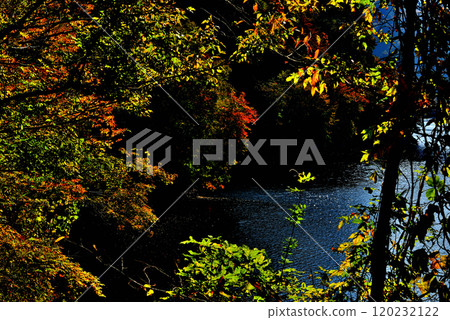 奧多摩湖生居之道 - 紅葉風景 奧多摩湖生居之道 - 紅葉風景 120232122
