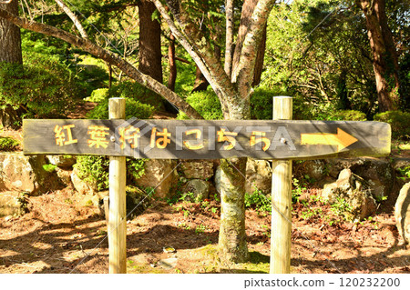 公園資訊板 公園資訊板 120232200