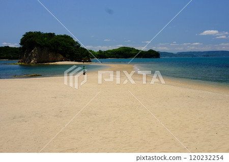 Shodoshima 120232254