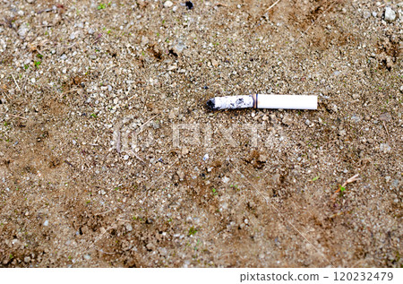 A scene of a cigarette being tossed away while still lit and then naturally extinguished A scene of a cigarette being tossed away while still lit and then naturally extinguished 120232479