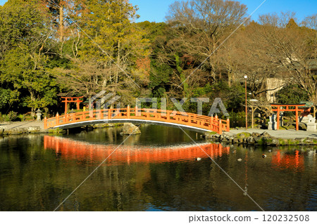 富士山本宮淺間大社特別天然紀念物湧玉池 富士宮市 120232508