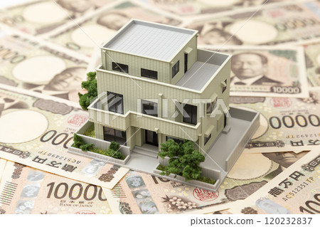 Money and house model 120232837