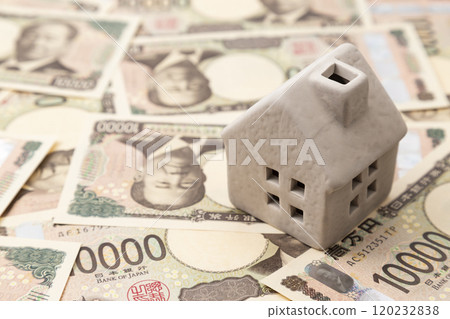 Money and house model 120232838