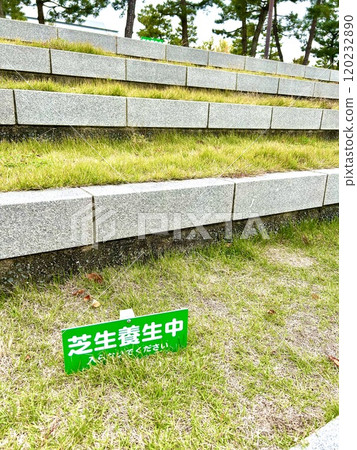 治癒你不該進入的草地 治癒你不該進入的草地 120232890