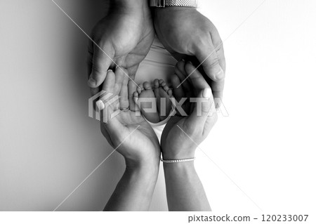The palms of the parents. A father and mother hold the feet of a newborn child in a blanket. The feet of a newborn in the hands of parents. Black and white Photo of foot, heels and toes 120233007