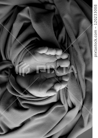 Foot of a newborn. Close up feet, toes, heels, feet of a newborn baby. Studio monochrome, vintage style, black and white macro photography. Foot of a newborn. Close up feet, toes, heels, feet of a newborn baby. Studio monochrome, vintage style, black and white macro photography. 120233008