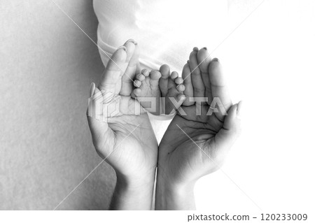 The palms of the parents. A father and mother hold the feet of a newborn child in a blanket. The feet of a newborn in the hands of parents. Black and white Photo of foot, heels and toes 120233009