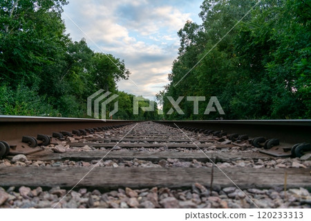 A beautiful view of train tracks off to the horizon surrounded by greenery. 120233313