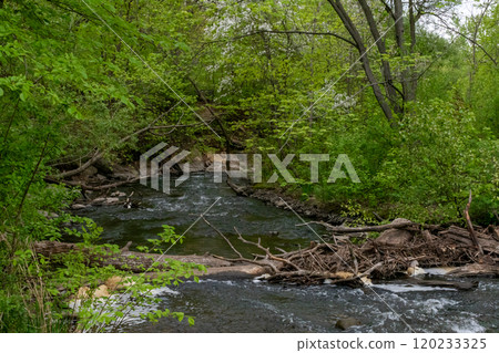 Views of Minnehaha Creek on a cloudy day surrounded by greenery in Minneapolis. Views of Minnehaha Creek on a cloudy day surrounded by greenery in Minneapolis. 120233325