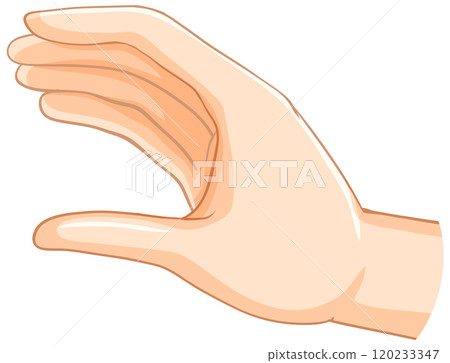 Hand Holding Gesture Illustration 120233347