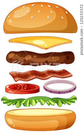 Deconstructed Burger Ingredients Illustration 120233372