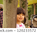 Hide and seek: A girl peeking out from behind a tree 120233572