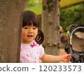 Hide and seek: A girl peeking out from behind a tree 120233573