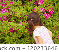 Back view of a girl observing a tree 120233646