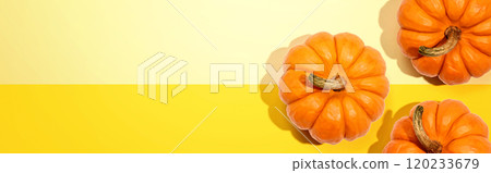 Autumn orange pumpkins overhead view 120233679