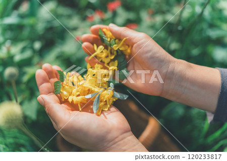 Place the petals on the palm of your hand 120233817