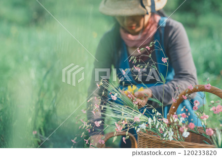 摘花 120233820