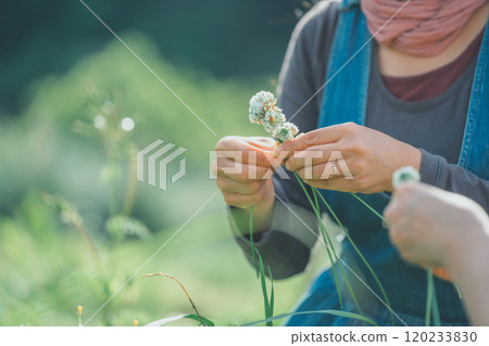 編織白三葉草 120233830