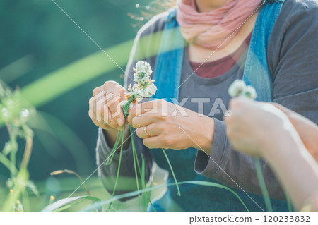 編織白三葉草 120233832