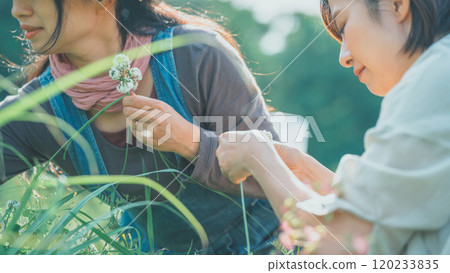 Knitting White Clover 120233835