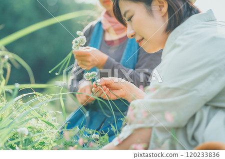 編織白三葉草 120233836