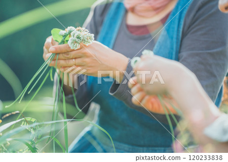 Making a wreath out of white clover 120233838