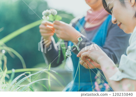 Knitting White Clover 120233840